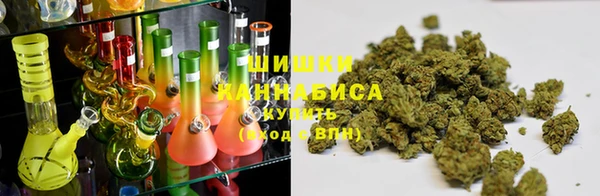 гидра Гусев