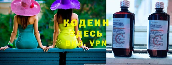 гидра Гусев