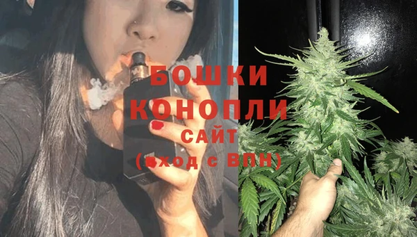 ALPHA PVP Гусиноозёрск