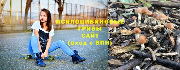 apvp Горно-Алтайск