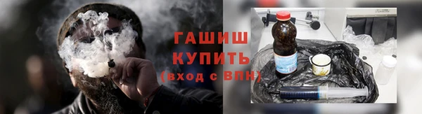 гидра Гусев