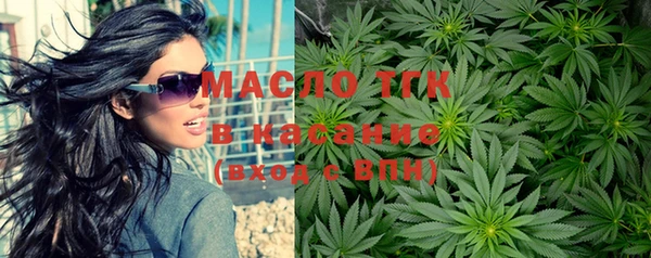 гидра Гусев