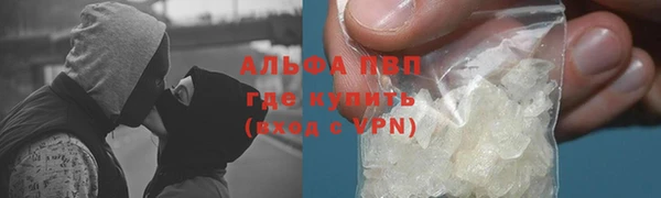 гидра Гусев