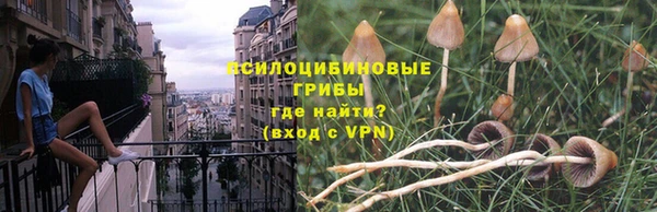 apvp Горно-Алтайск