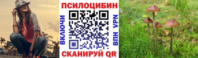 Псилоцибиновые грибы Cubensis  Купить закладки  Среднеуральск 
